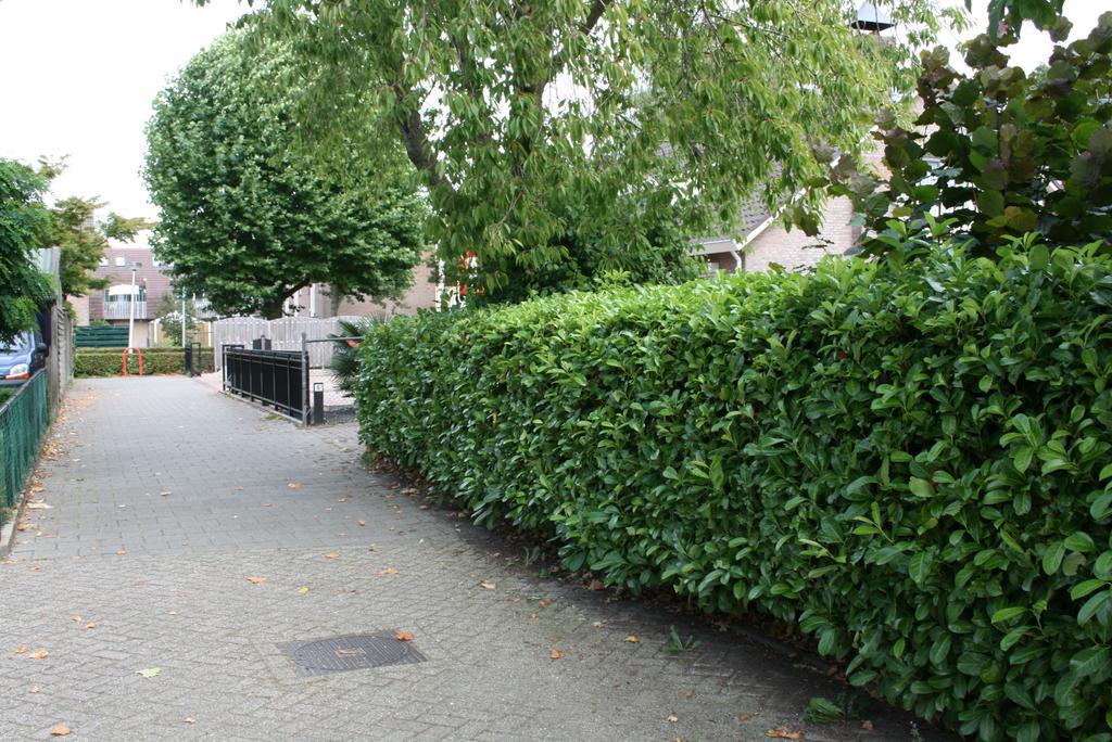 Btween Maas & Waal Druten Exteriör bild